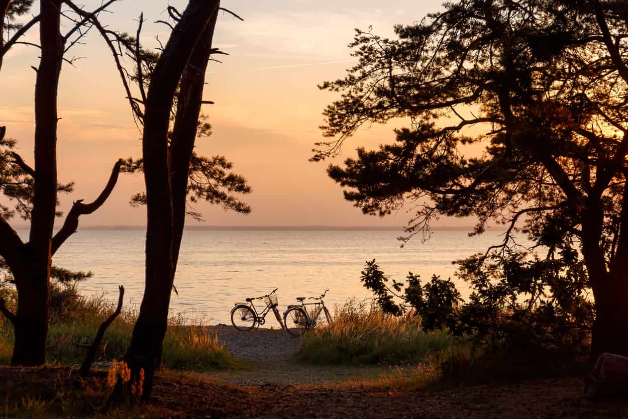 Cyklar vid sjö