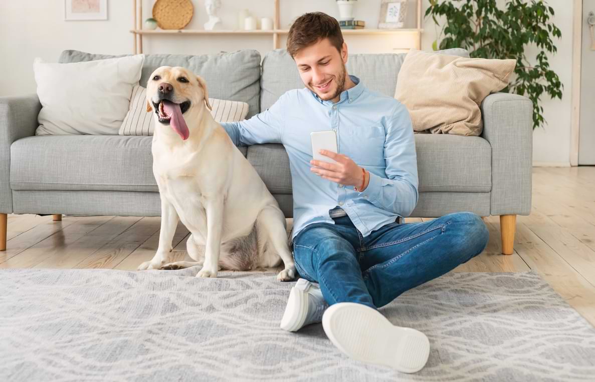 Hund och man vid soffa med mobil i handen